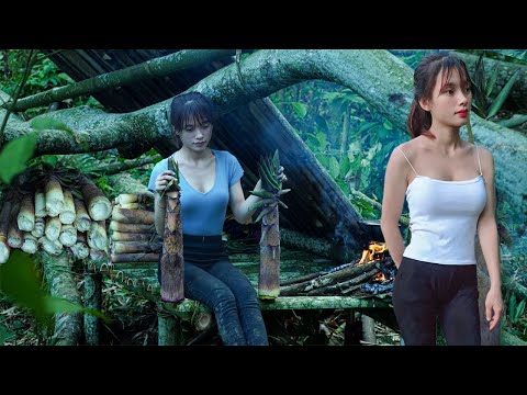 live wild in shelter, picking a lot of giant bamboo shoots