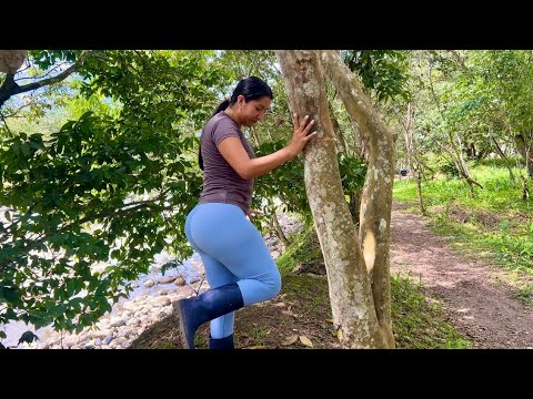 Acompáñame a recorrer este hermoso sendero junto al río