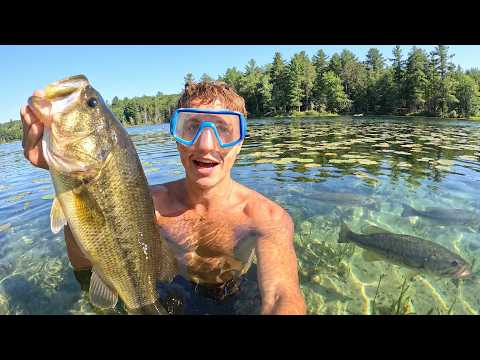 3 Days Fishing Bass PARADISE - Big Bass, Snorkeling &