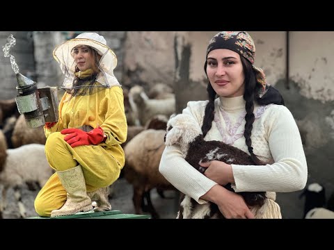 Daily life in the village and Iranian-style breakfast with
