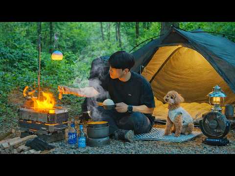 Camping in Forest with My Dog Korean Pork Bulgogi Wood
