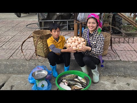 Collecting chicken eggs and setting fish traps to