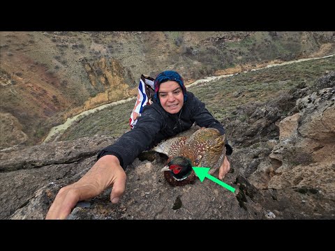 Mountain Woman: A strange bird is found in the mountains by
