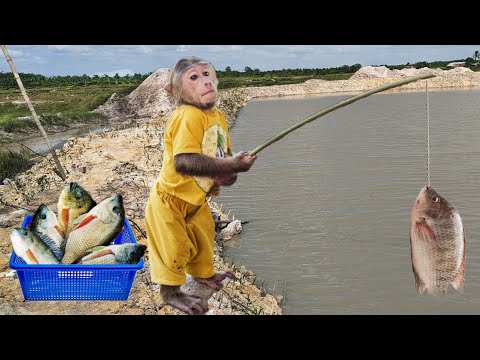 Best Funny Cutis Rickshaw Harvest Fishing Sell