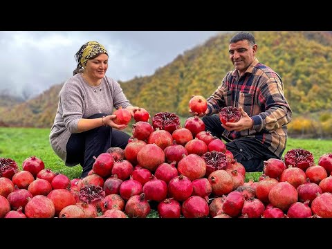 Real Life In An Azerbaijani Village The Best Videos Of