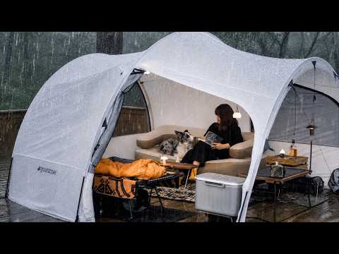Rain and Falling Petals Peaceful Camping with My Dog