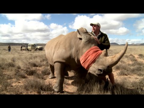 Les camions de l'extrême : Convois d'animaux sauvages