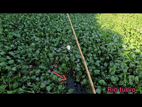 Que tremedeira que me deu o Pescador tava do lado e não viu