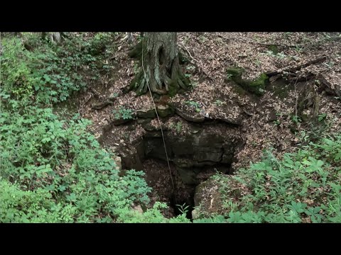 Dog Skull And Collar Found Down A 100FT Deep Sinkhole