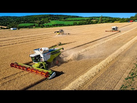 Žatva 2026 3x Claas Lexion 8900TT / 8700TT / 780TT New
