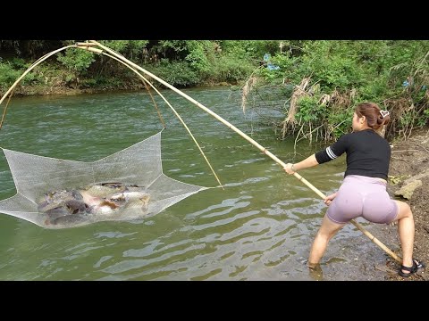 TIMELAPSE: Exciting Fishing, How To Catch Fish In The Wild,
