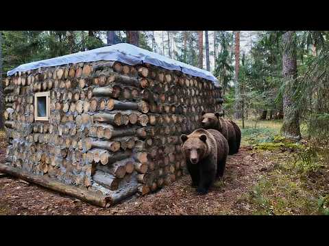 Man Builds HIDDEN LOG CABIN to Survive Wild Animals by