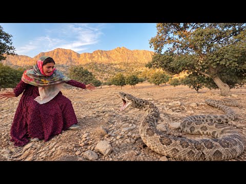 Suddenly attacked the CAMERAGiant Zagros VIPER