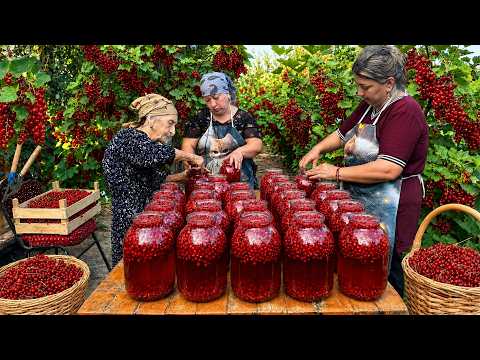A Sweet Village Day | Red Currant Jam, Compote & Delicious