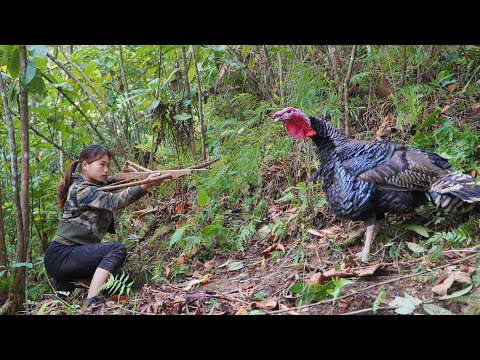 200 days of survival in the wild, catching wild boars and
