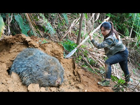 bamboo rat digging and catching skills, winter survival,