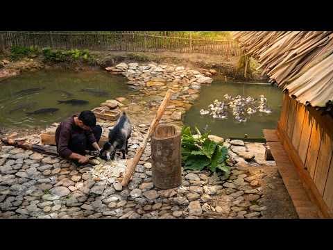 Making a Feed Pounder for Ducks & Taking Care of the Farm