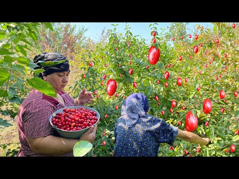 Picking CORNELIAN CHERRIES and Making JAM and Baking Mosaic
