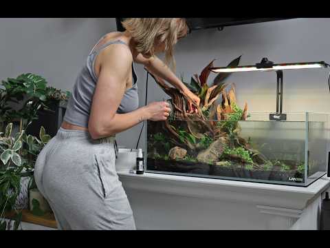 All Planted LANDEN 75S Aquascape Complete Final Reveal