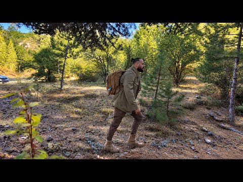 Bolu Mengen Doğa yürüyüşü/ Mantar Keşfi #camping #trekking