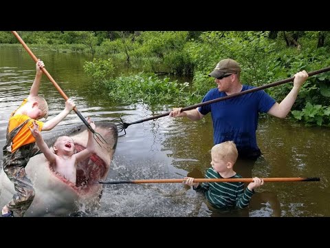 5 Years of Funniest Videos & Memes Compilation - Outdoor