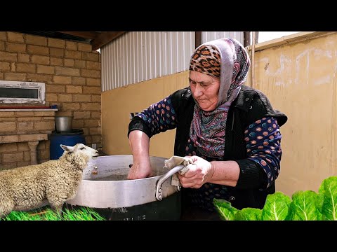 Lezghian BABYSHKA prepares HALVA with flour - ISIDA. Life