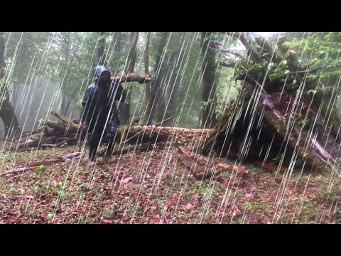 cozy shelter Camping in Heavy Rain and a Rainstorm All Day