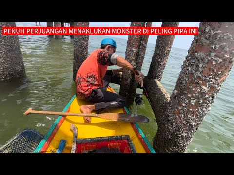 Perlawana Monster Kali Ini Penuh Perjuangan fishing