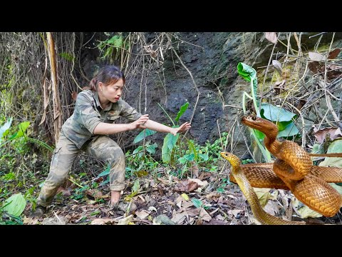 Detect and track wild boars, survive in the wild, survival