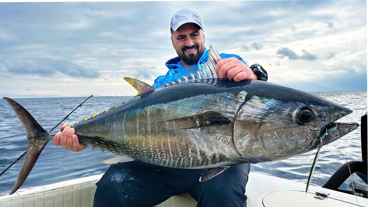 Dev Balık Kamışı Kırdı / Vertical Jigging Yöntemi İle
