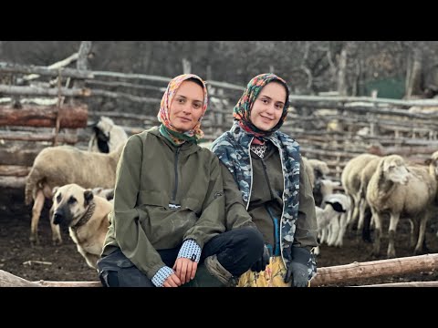 ÇİFTLİKTE ACEMİ YENİ İŞCİLER BESİCİ&ÇİFTÇİLER