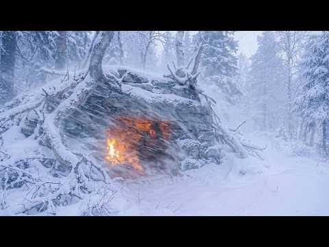 Surviving The SNOWTORM By Building a Bushcraft Shelter |
