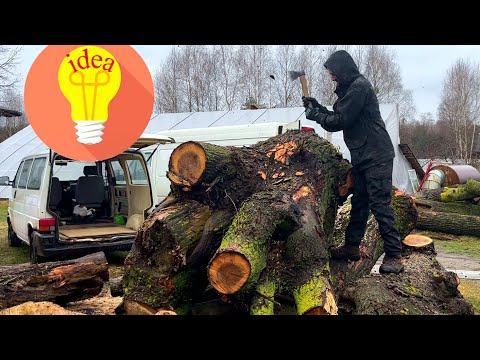 None of you will guess what we made from this tree
