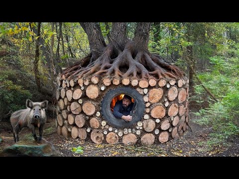 Building a Forest Shelter from Logs: Wild Boar Attacks at