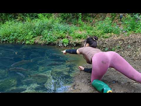 Fishing Video: Used Bait To Lure Fish Into The Lakes, Suck