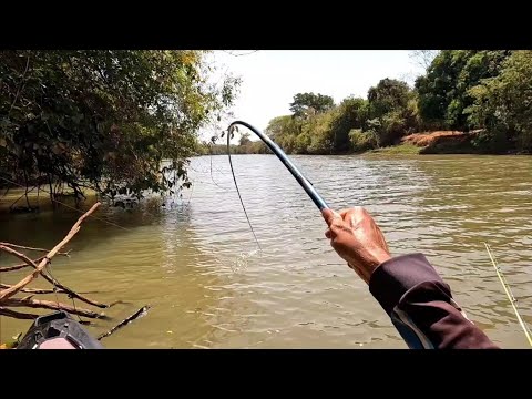 Isso não é um Peixe é um monstro se tá maluco Pescaria nas