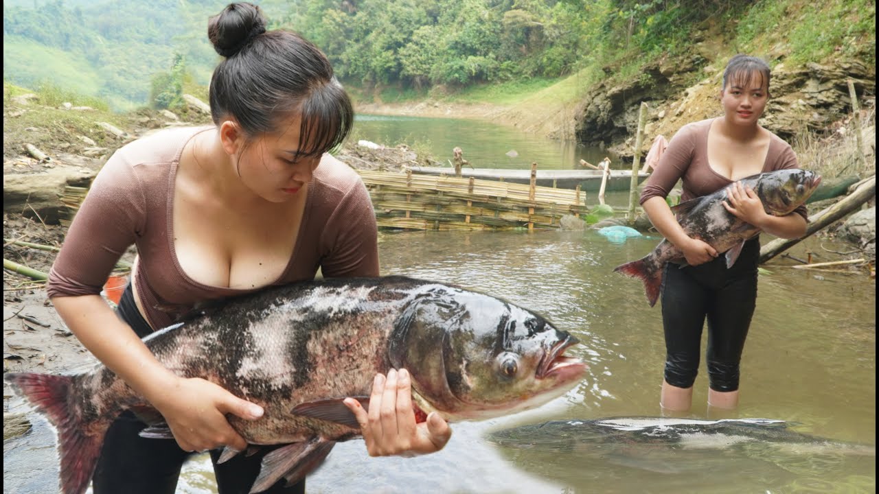 How to make a fish trap in low water season