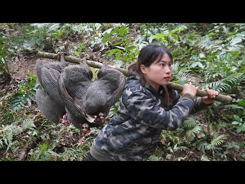 Discovering Guinea Fowl Tracks, Immediately Crafting an