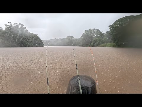 Meu coração na garganta,minhas pernas tremendo, Adrenalina