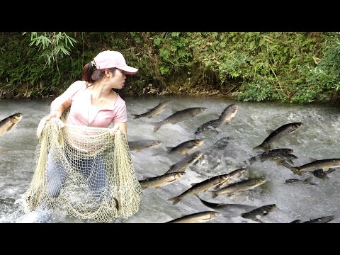 Great Fishing Techniques, How To Trap Stream Fish and