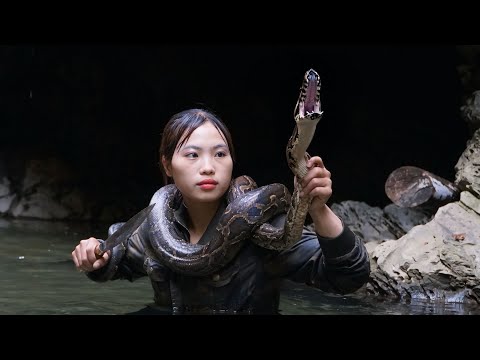 giant python discovery, jungle fowl trapping skills,