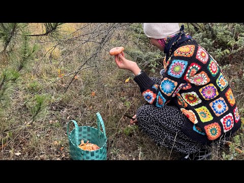 EN DEĞERLİ MANTARLARI BULDUK