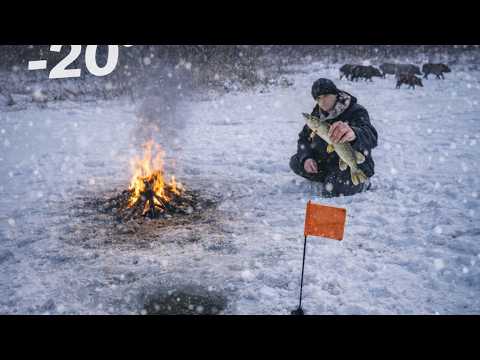 Winter Camping on the river, severe frosts, food on the