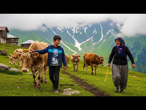 Life Far from Civilization in Türkiye’s Black Sea Highlands