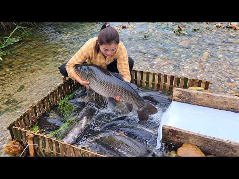 [TIMELAPSE] -- Single Girl's Traditional River Life: