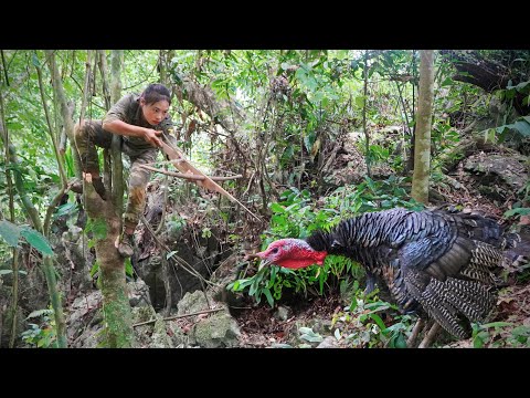 Go to new lands to trap turkeys, skills, trap turkeys,