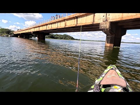 Pescaria de corvinas no Pilar da ponte do Rio turvo