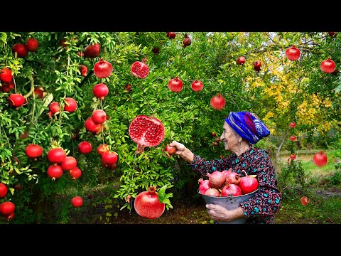 Harvesting Pomegranate and Making WINE, JUICE and Chicken