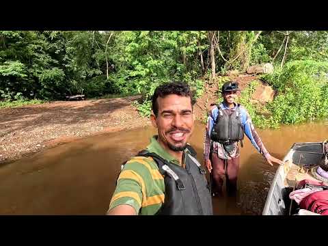Era pra ser uma Pescaria de tambaqui, mas as corvinas e os