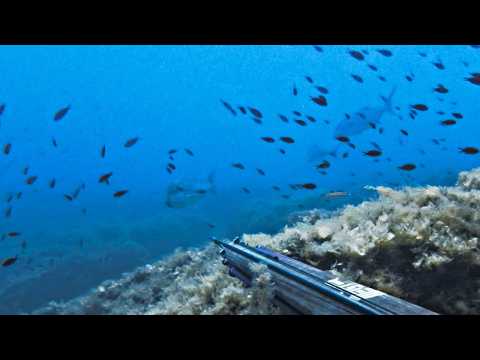 Επική Μέρα - Γιγάντια Μαγιάτικα ακολουθούν Τεράστια